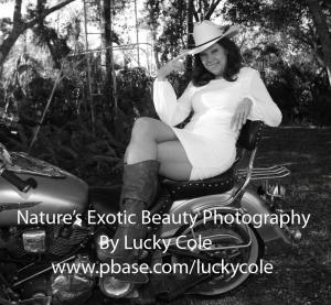 Lucky Cole Biker Outpost and Photo Studio on Loop Road in The Florida Everglades